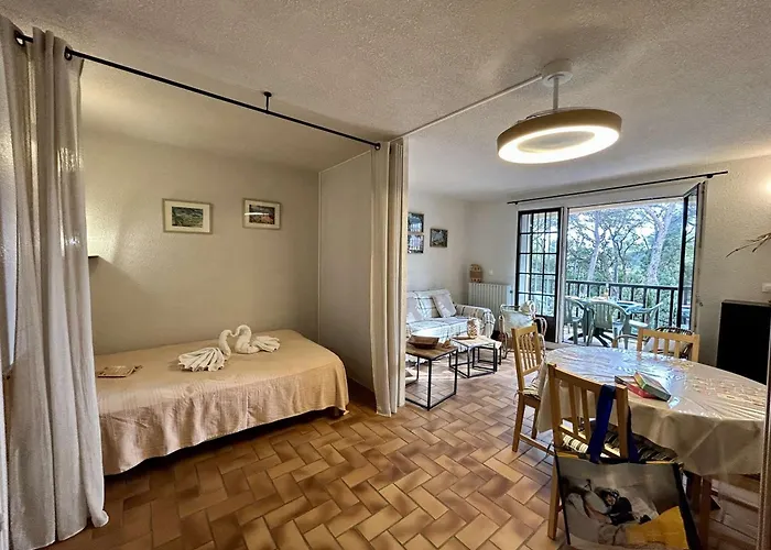 Avec Piscine Et Parking - 4 Pers. - Fr-1-226a-214 Apartmán Saint-Raphaël